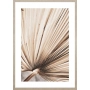 OBRAZ DRIED PALM LEAVES NO.3 Suszone Liście Palmowe